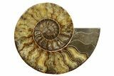 Cut & Polished, Agatized Ammonite Fossil - Madagascar #317503-2